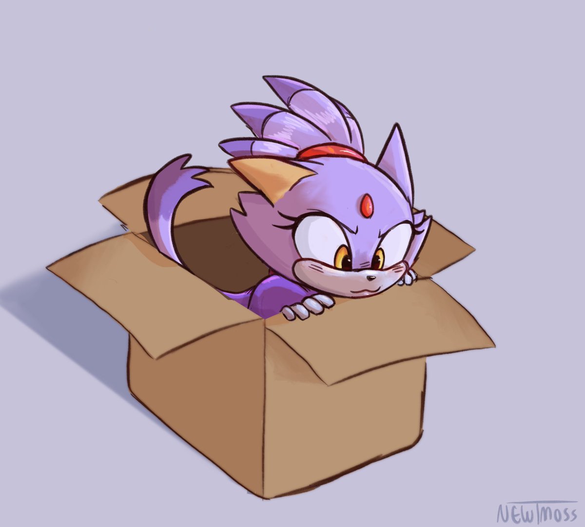 Special delivery 💜 
#BlazeTheCat #SonicTheHedegehog