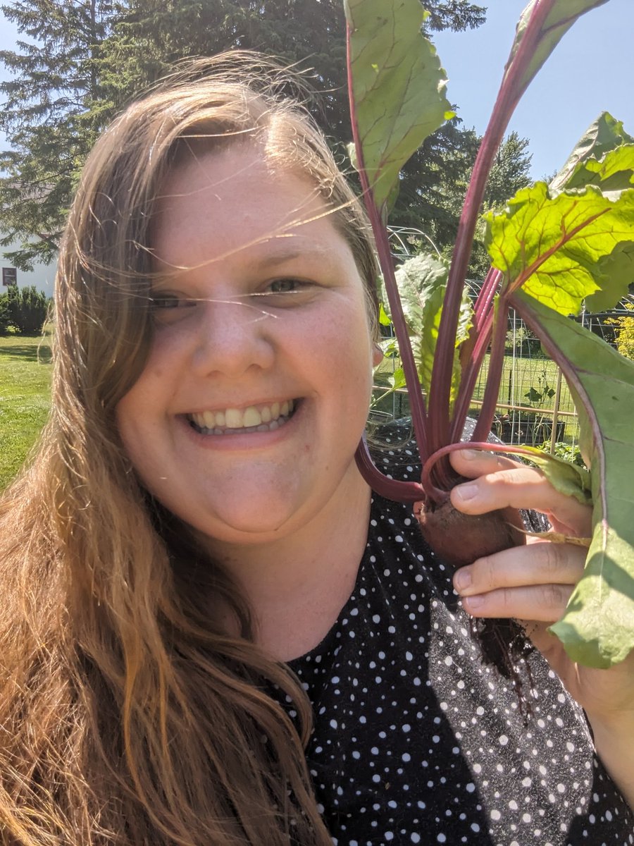 The garden is growing! Picked our first beet today too! #HomeGardening #Gardening #RaisedBedGardening #Beets