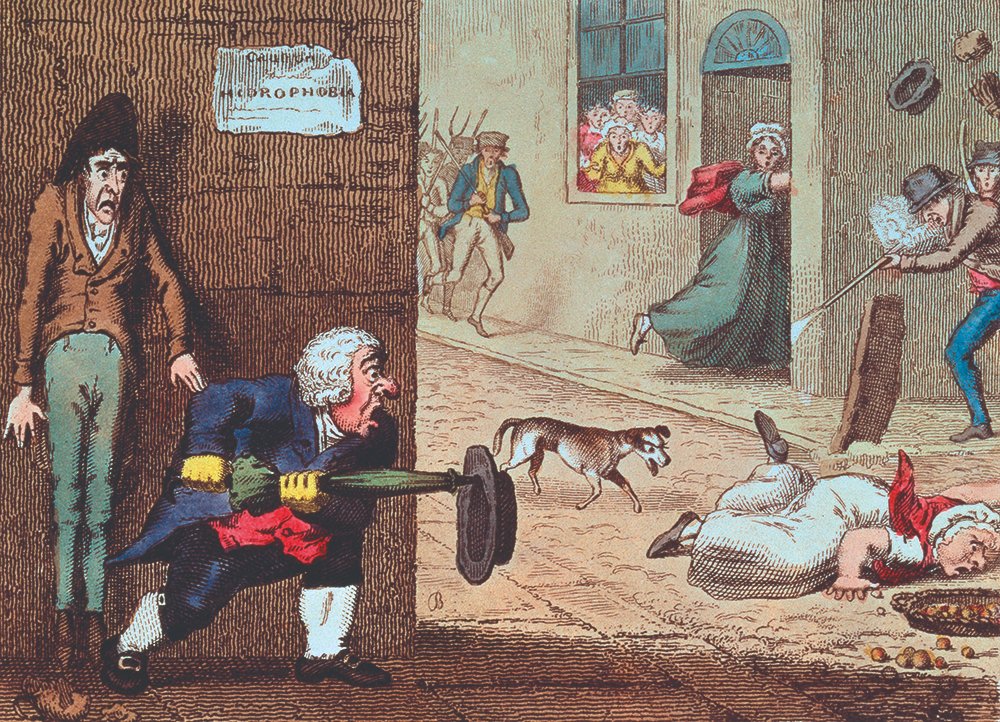 "On binlerce köpeğin hayatı, tek bir insanın hayatı şöyle dursun, onun iç huzuruyla bile rekabete sokulmamalıdır."

1760 yazının sonlarında Londra, kuduz köpeklerin sokaklarda insanlara saldırdığına dair haberlerle sarsılmıştı. 26 Ağustos'ta "Common Council of the City of London"