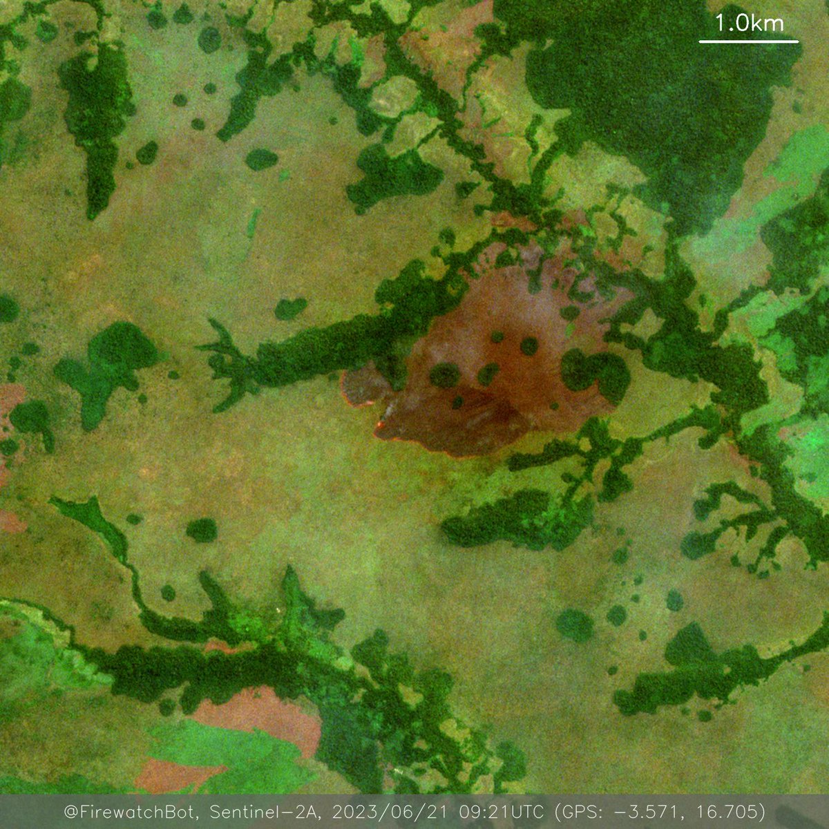 Fire detected from #Sentinel2

🗺 Place: Kwamouth, Mai-Ndombe, #DemocraticRepublicoftheCongo
🕛 Date: 2023/06/21 09:21UTC

View location: maps.google.com/?q=-3.57096851… (-3.571, 16.705)