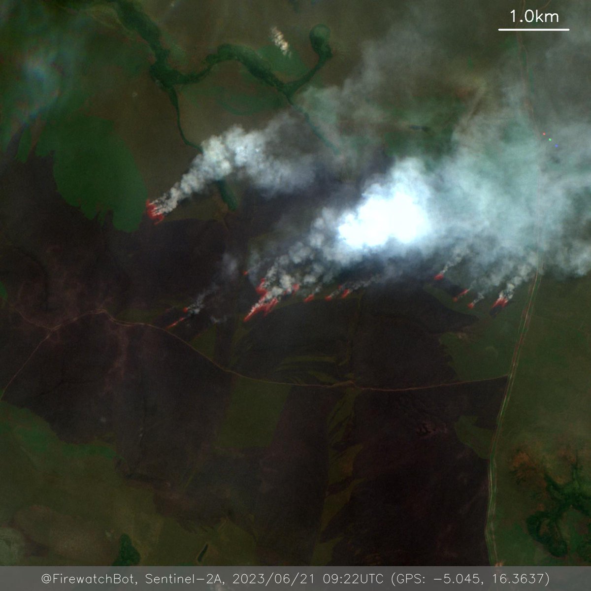 Fire detected from #Sentinel2

🗺 Place: Kenge, Kwango, #DemocraticRepublicoftheCongo
🕛 Date: 2023/06/21 09:22UTC

View location: maps.google.com/?q=-5.04502920… (-5.045, 16.3637)