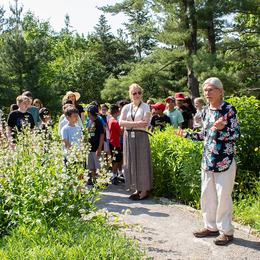 mcacgallery's tweet photo. Today, on National Indigenous Peoples Day, Lynn Short, from the Humber College Horticulture Department, led a working and learning session with students from Kleinburg Public School and McMichael staff  in Minokamik Garden, weeding the garden, giving thanks to the earth, https://t.co/ICYJzGADaq