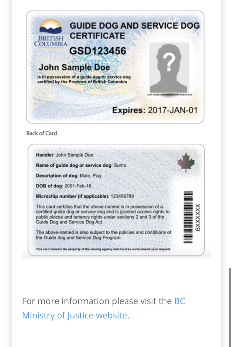 soleilsmum's tweet photo. @WitchCrafts10 @mnsj1968 @Dave_Eby @KahlonRav Regardless of allergies if your dog is a legal service dog with accredited training. You would have a Government ID card  like this one and no one can legally discriminate. If they do sue them or slap a Human Rights Tribunal case against them https://t.co/EqYE9wcmEl