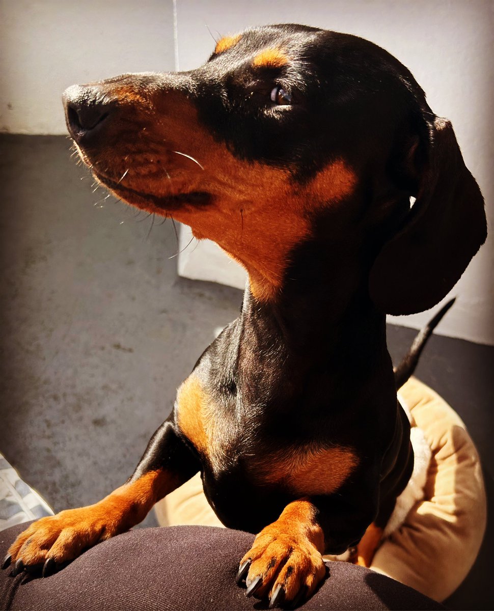 Claire Muldoon tweet media