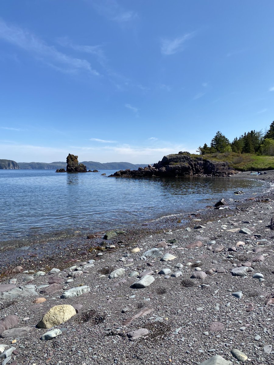 Meagan Perry tweet media