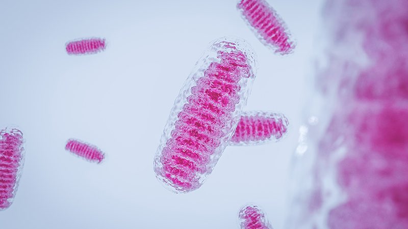 Cleveland Clinic Research tweet media