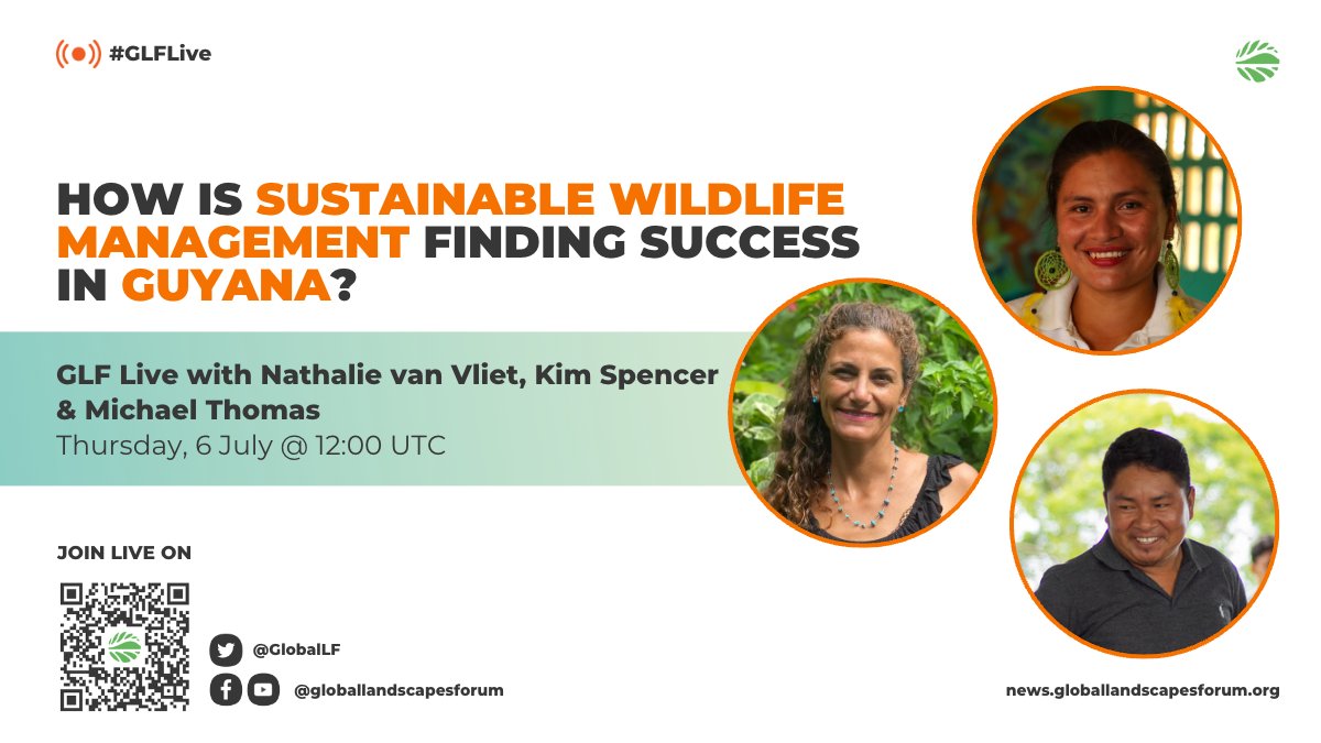 Join us to explore sustainable #wildlife management in Guyana!

Hear from three experts to discover the successes, key learnings, and the future of the #SWMProgramme.

Save the date🗓️ 6 July @ 12:00 UTC
➡️ bit.ly/3JkOWd9

#ThinkLandscape