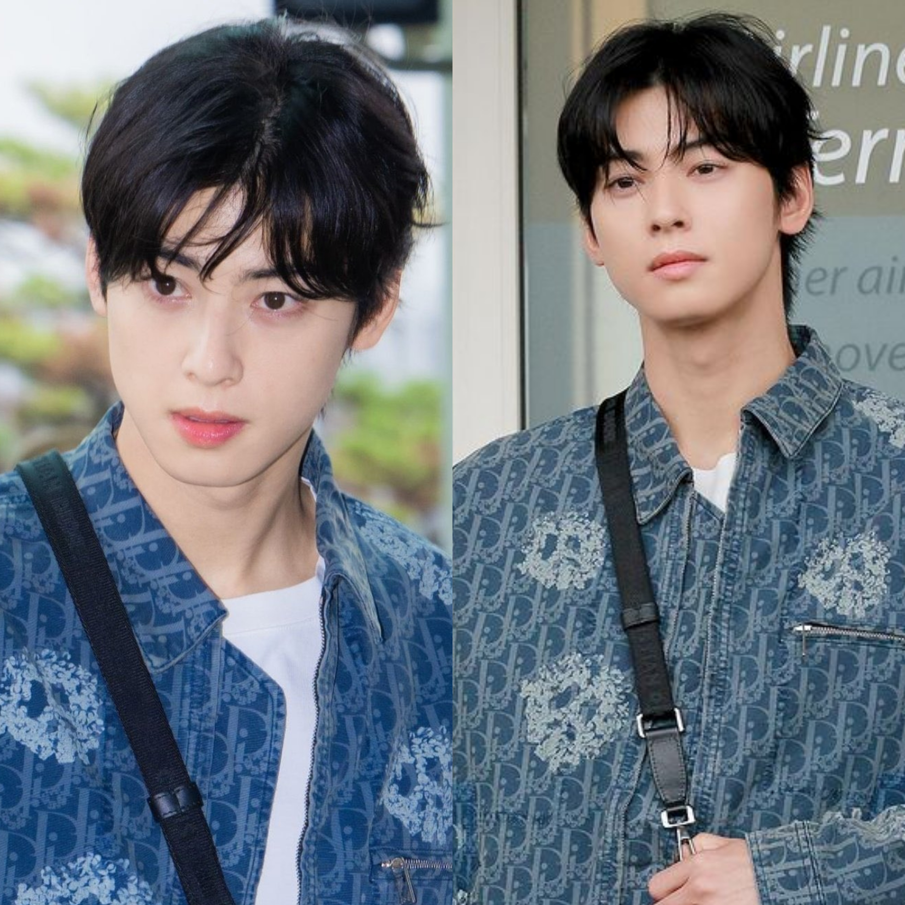 Viral Takes on X: Cha Eunwoo will be attending Dior Men's 2024 S/S  Collection fashion show in Paris.  / X