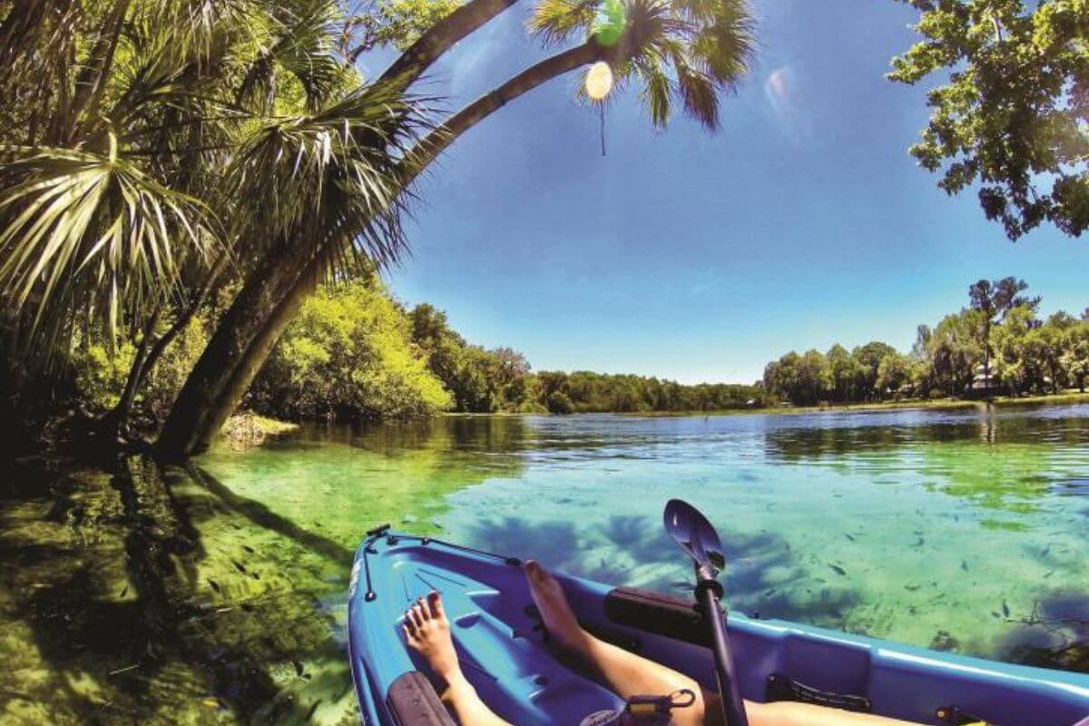 Rainbow Springs is one of the best places to kayak in Florida. 🌈🛶

Here are other kayaking suggestions throughout the #SunshineState: authenticflorida.com/best-places-to… 

#summer2023