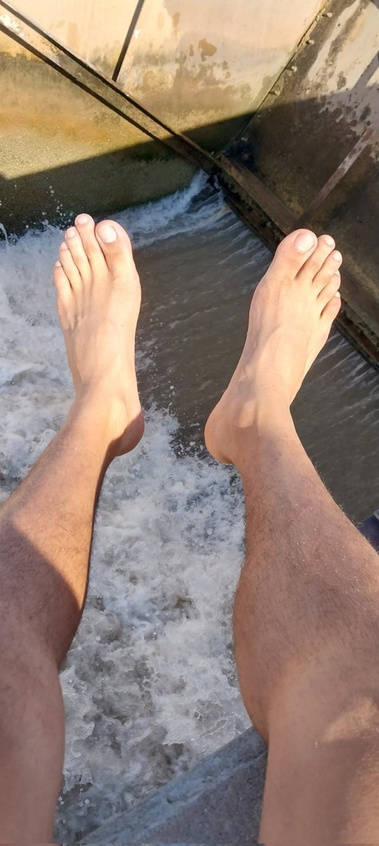 NicholasQuint17's tweet photo. Yall really be into feet?

#feet #feetpic https://t.co/5mNyhx9dH7