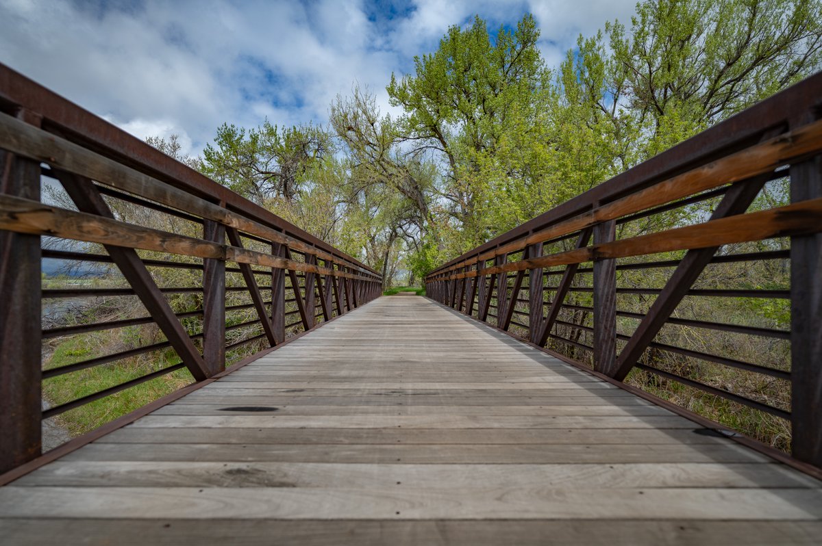 SIGMA America on Twitter "Images by D4White5d2 with the new SIGMA