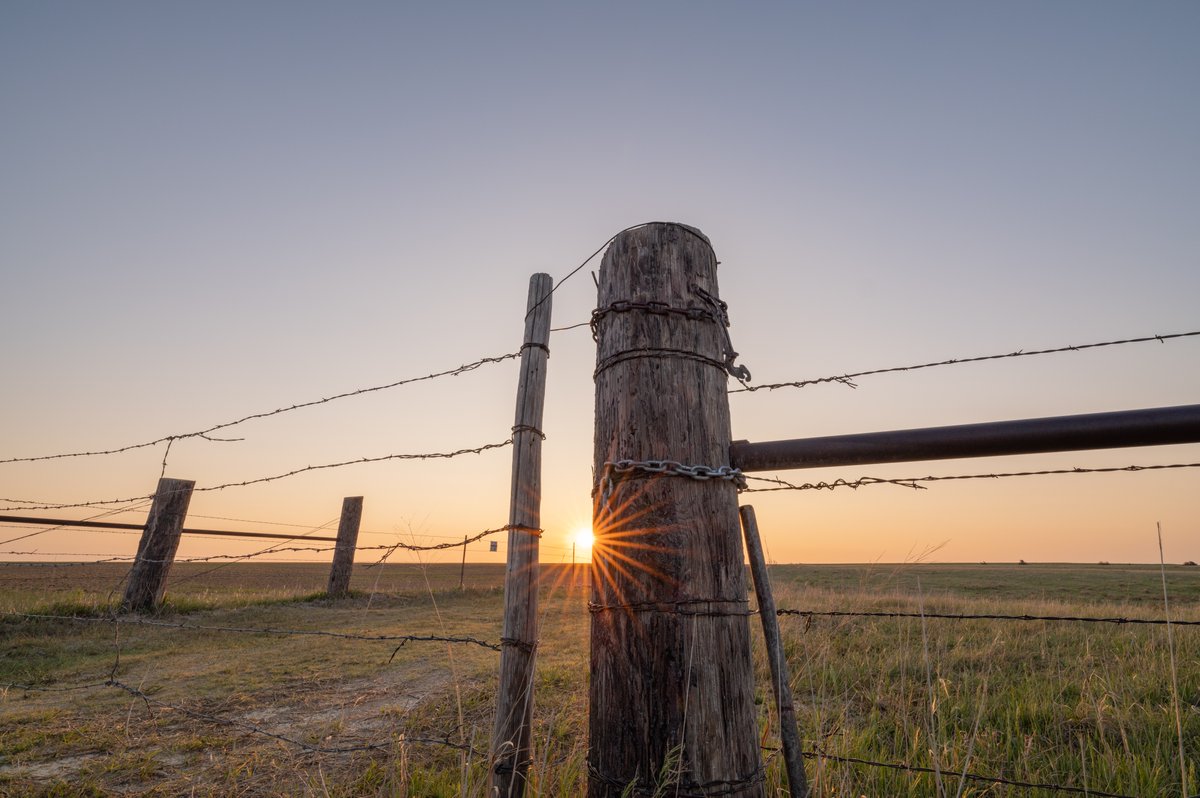 SIGMA America on Twitter "Images by D4White5d2 with the new SIGMA