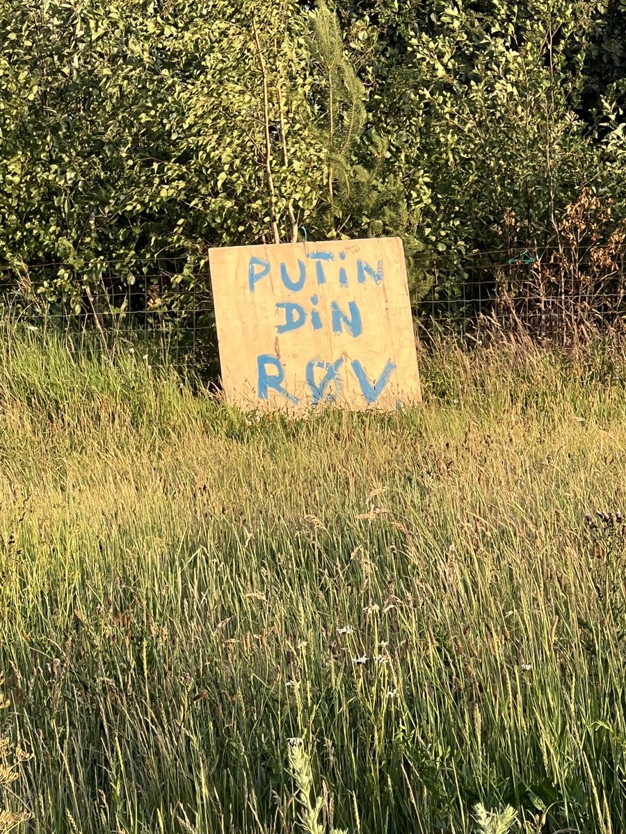 Det er Amar’ du…