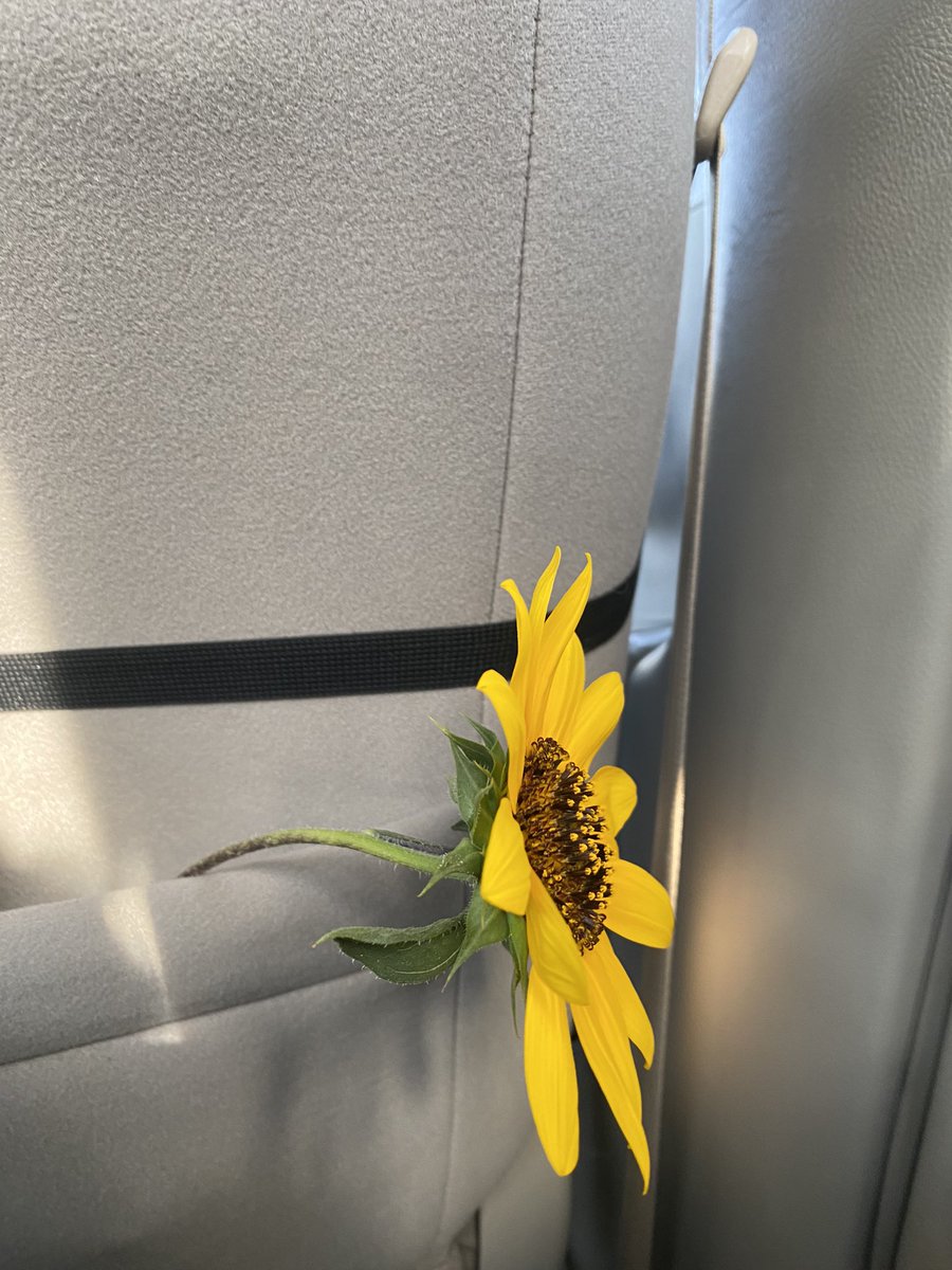 faizahahah's tweet photo. 🌻 https://t.co/90VCoVIfms