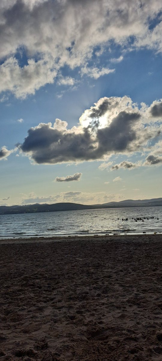 Kara Saunders tweet media