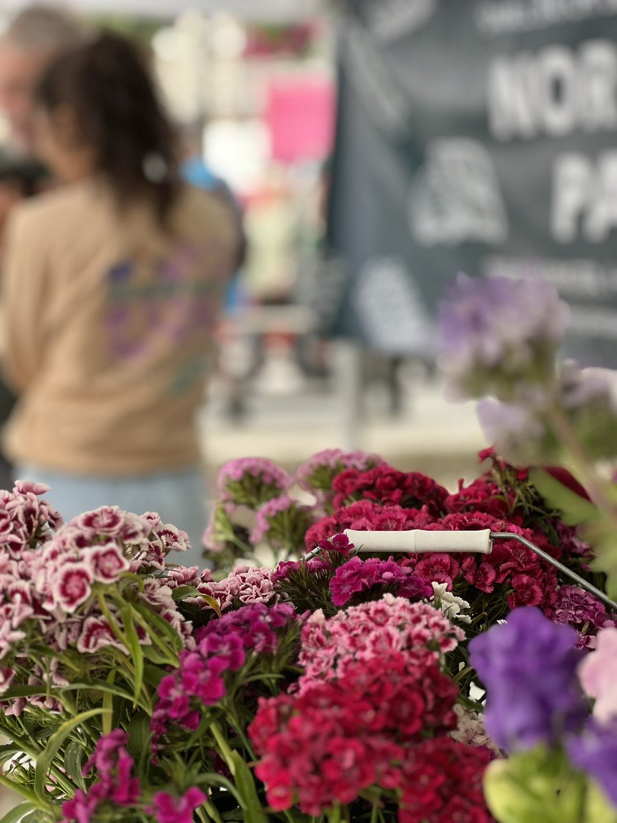 Hey Kendal loving folks, tell your neighbours, neighbours, we are back in the marketplace on the 30th June! With some of the best cheesemongers, butchers, bakers, pasta makers and bee keepers … join us … let us fed you and the kiddies