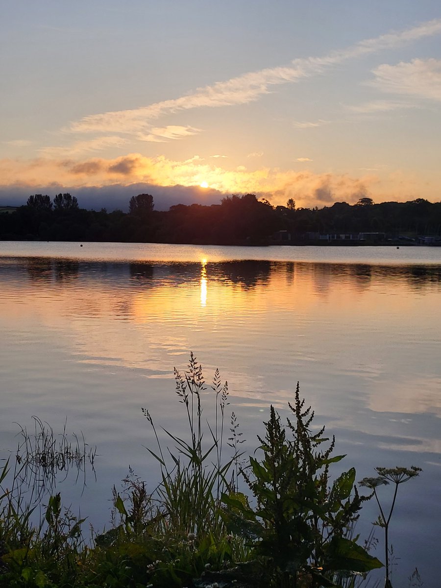 sevensistersjd's tweet photo. Happy Lithia Summer Solstice blessings 🌞💛 https://t.co/0d3jmOK8Vl