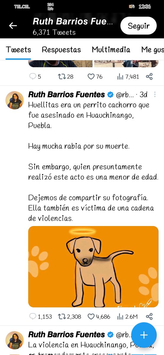 No me cabe en la cabeza como personas así, pueden blanquear lo que hizo esta adolescente. Sí, es menor de edad pero tiene lo suficiente para saber lo que hace y lo que no. Lo que está bien y lo que no. Ella es la victimaria, no una 'víctima más'+
#Huellitas #JusticiaParaHuellitas