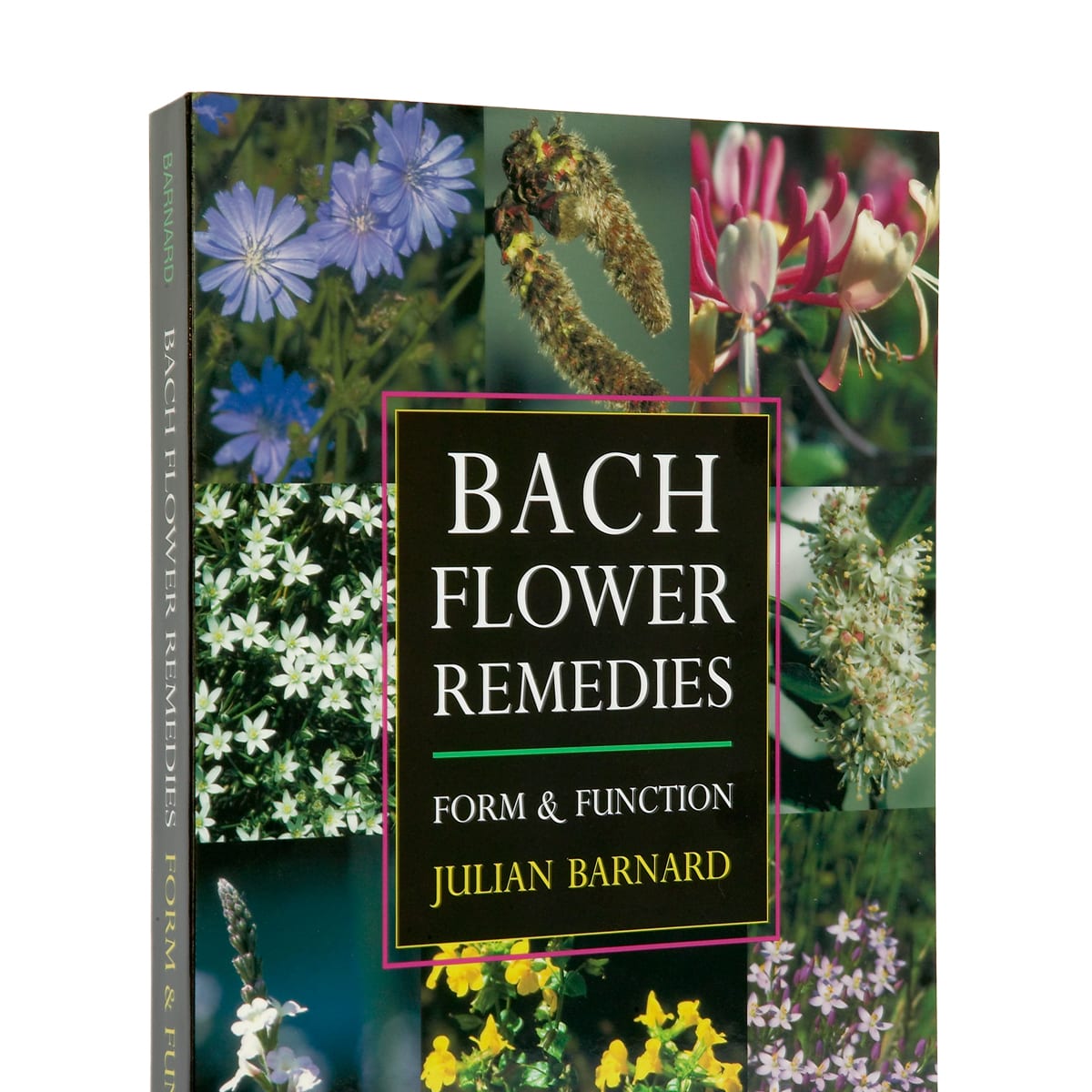 Light is a powerful theme in the story of Bach flower essences and essential to their creation. The form of the plant speaks of its interaction with the light. #floresdebach

buff.ly/38CjtiP