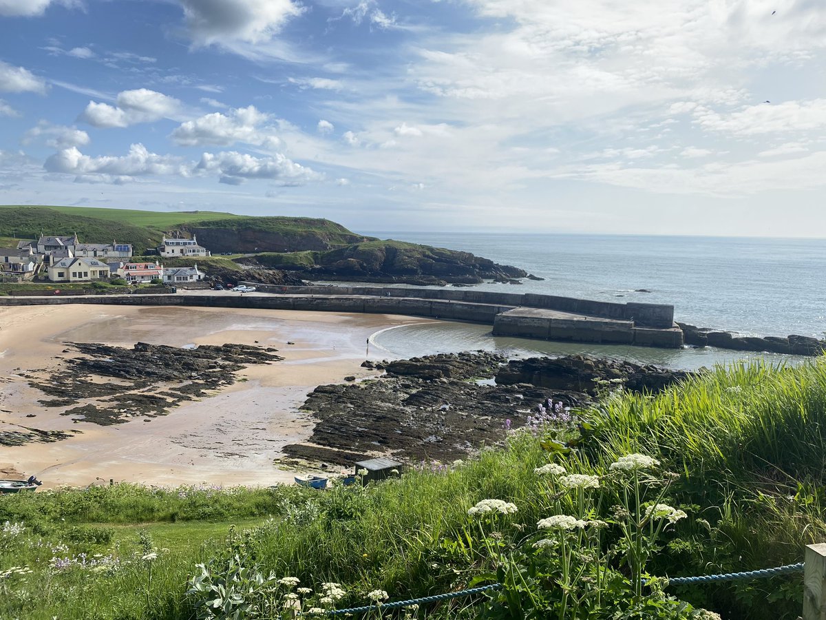 Dcheynemiller tweet media