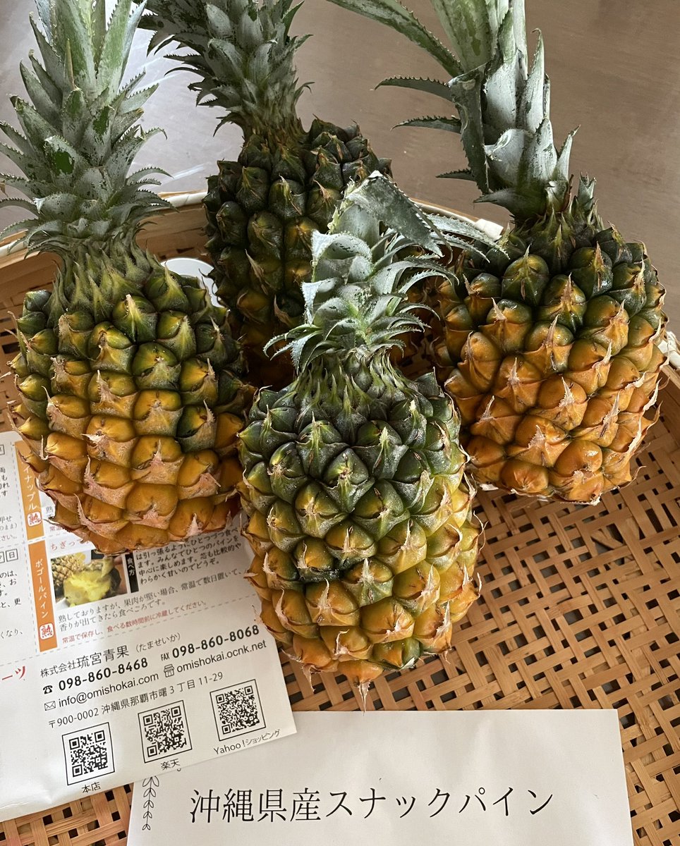 沖縄のフルーツ&野菜のお店 たま青果 (@nahatamaseika) / X