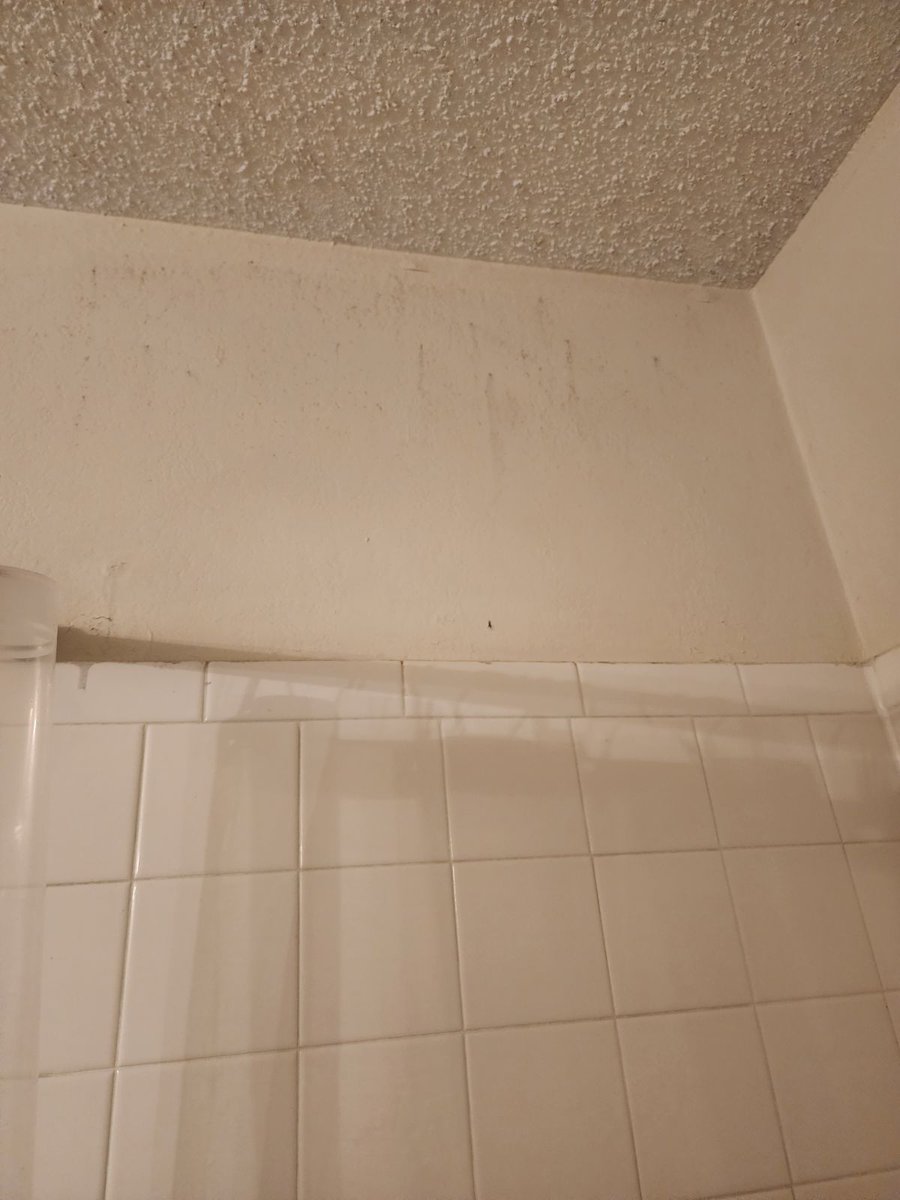 MagicofService's tweet photo. This is the post my partner made about it but to add on I was able to get pictures of the mold coming through the paint and growing on the tiles.

This was AFTER my mother had me scrub the walls and tiles with vinegar and there was still all this left https://t.co/DGxpXzuymD