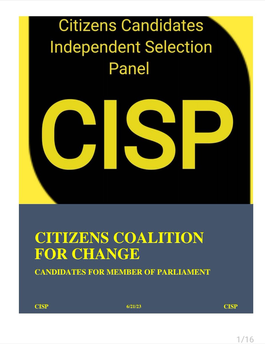 TheNewsHawks on Twitter "Zimbabwe's main opposition CCC candidates