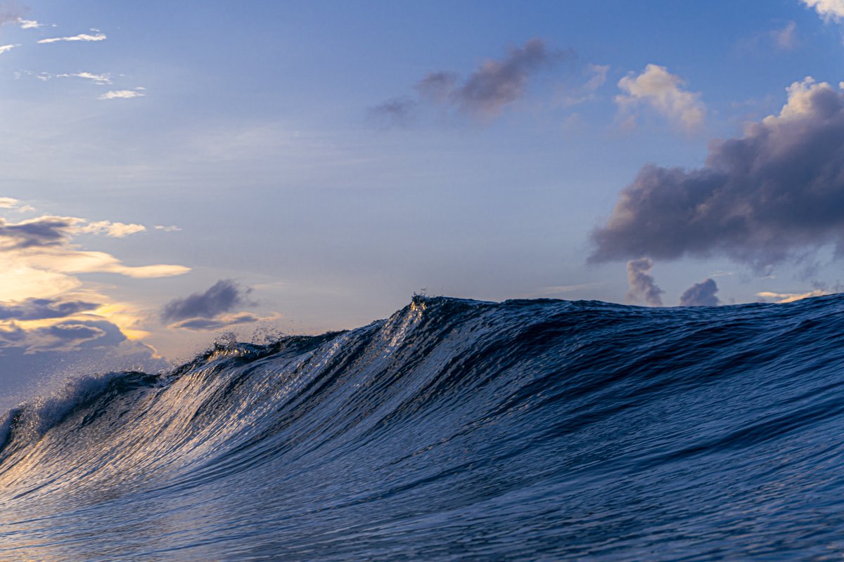 fotofilosofo's tweet image. Bienvenida al paraíso:

Cree este profile como afirmación de una nueva etapa en mi desarrollo como artista visual. Espero que disfruten el espectáculo. 

I created this profile as an affirmation of a new stage in my development as a visual artist. I hope you enjoy the show.