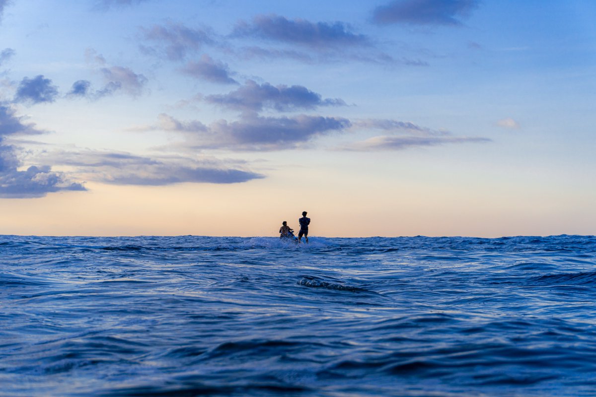 fotofilosofo's tweet image. Bienvenida al paraíso:

Cree este profile como afirmación de una nueva etapa en mi desarrollo como artista visual. Espero que disfruten el espectáculo. 

I created this profile as an affirmation of a new stage in my development as a visual artist. I hope you enjoy the show.