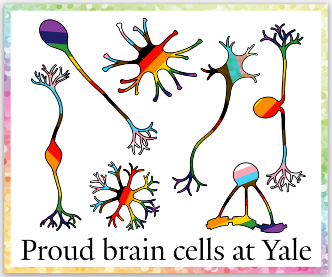 Yale Neuroscience (@yaleneuro) on Twitter photo We celebrate #PrideMonth at <a href="/YaleNeuro/">Yale Neuroscience</a>! 🌈We're happy to share our new Pride stickers🏳️🌈 designed by the talented <a href="/AtagunUlas/">Atagun Ulas Isiktas</a> from <a href="/Yale_INP/">Yale Interdepartmental Neuroscience Program</a>. We hope to help elevate the LGBTQ+ community's voices all year long! You'll find stickers in the business office, or ask our DEI committee! We celebrate #PrideMonth at <a href="/YaleNeuro/">Yale Neuroscience</a>! 🌈We're happy to share our new Pride stickers🏳️🌈 designed by the talented <a href="/AtagunUlas/">Atagun Ulas Isiktas</a> from <a href="/Yale_INP/">Yale Interdepartmental Neuroscience Program</a>. We hope to help elevate the LGBTQ+ community's voices all year long! You'll find stickers in the business office, or ask our DEI committee!