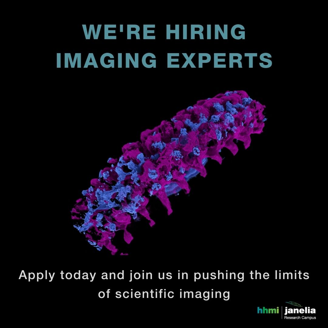 📢We're #hiring imaging experts to help us develop the future of imaging science.🔬 

✨Apply today for positions in imaging, instrumentation development, sample preparation &amp; biology, and image analysis &amp; software development.🧪 

🔗 janelia.org/careers/scient… 
#ScienceJobs