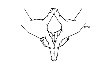 hiranyalokan's tweet photo. Ever noticed how Tate does this mudra quite often? It's called Yoni Mudra:

Yoni (योनि):  The vulva; origin; water.

Biggest masculine role on the internet unknowingly channelling Shakti. Funny how the psyche unconsciously contorts the body to find ease

tbi... (thijnk about it) https://t.co/X520dTjykQ