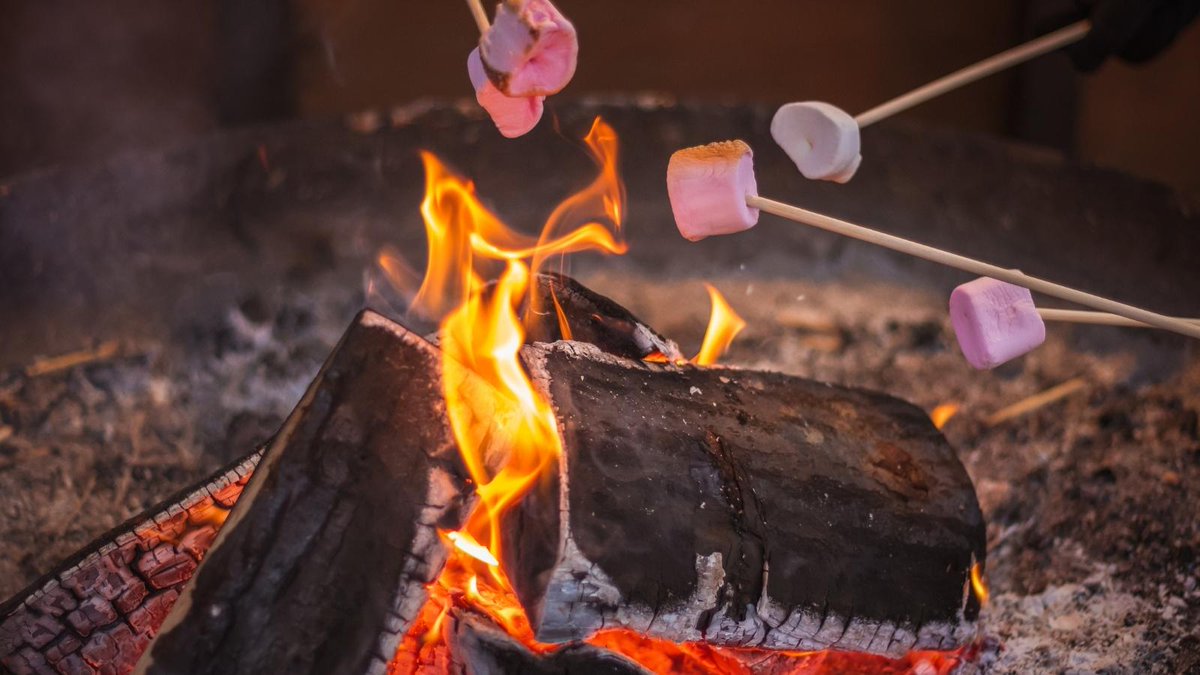 PCSgrades's tweet image. We turned a PCS move into a camping trip across the country and here is how! 
hubs.ly/Q01VjVmr0
#PCS #PCSing #PCSgrades #camping