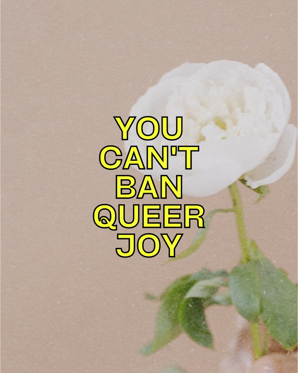 YOU CAN'T BAN QUEER JOY. 💛