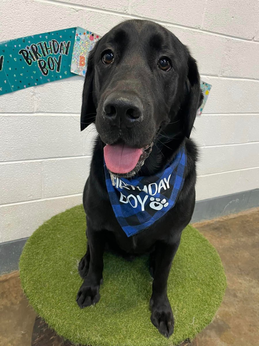 Dave Young tweet media