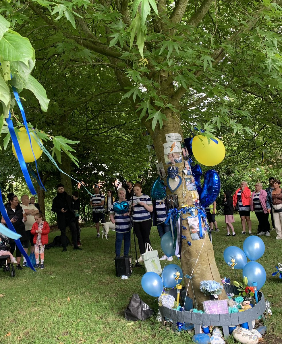 cmcs2468's tweet photo. What a beautiful evening to remember #NoahDonohoe 
@noahsarmy21 B did a fantastic job 👏👏👏💙⚡️⚖️
Please share and donate to the Crowdfunder 💙⚡️
#JusticeForNoahDonohoe 
https://t.co/xt5bgCtmGl https://t.co/FnaJlF35Cj