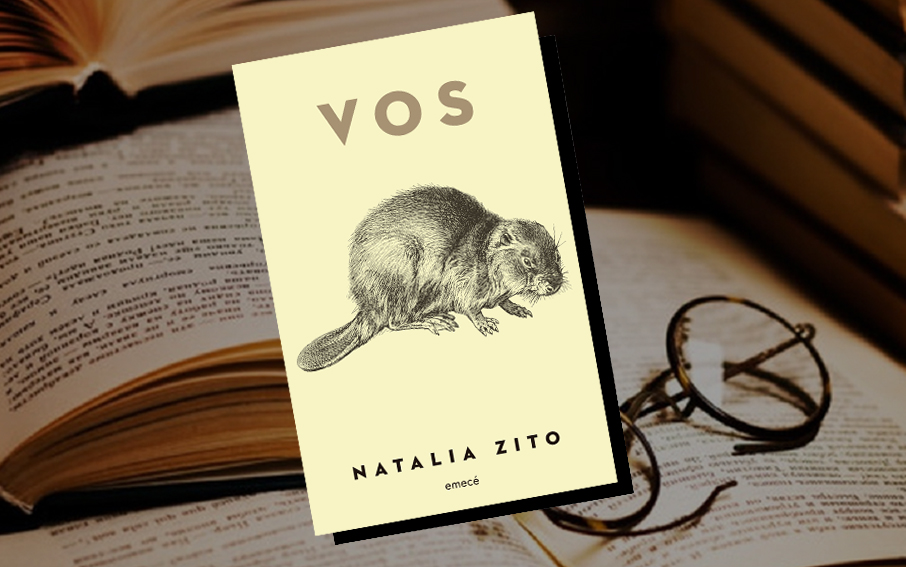 'Vos', de Natalia Zito - Editorial Emecé
#Literatura #NovedadesEditoriales

contarte.com.ar/literatura/vos…