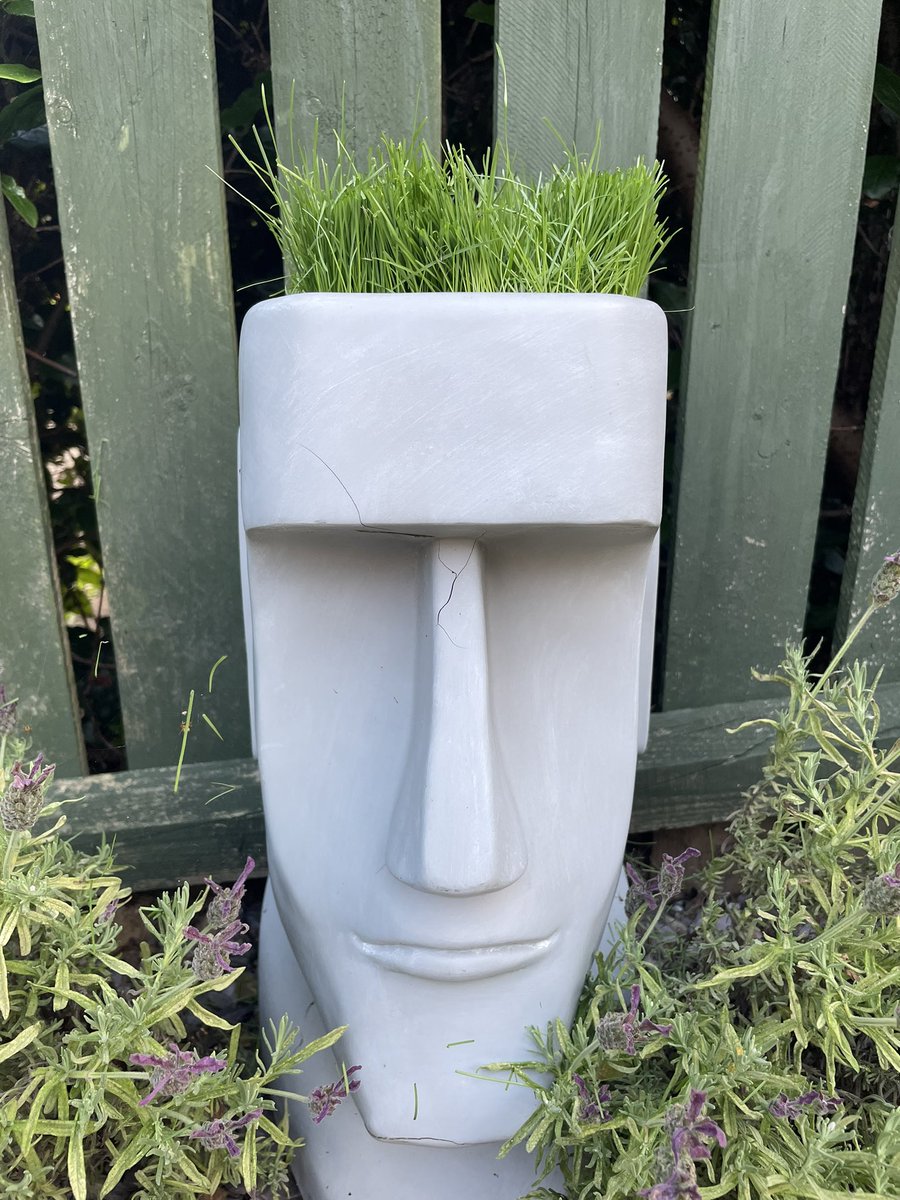 Mav’s hair is growing <a href="/poppiesmads/">Madeline Amy Bailey</a>