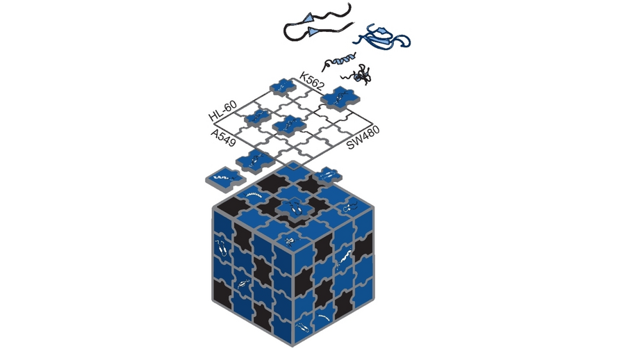 ChemBioChem's tweet photo. Deconstructing the Potency and Cell-Line Selectivity of Membranolytic Anticancer Peptides (Plisson et al.) @FabienPlisson #openaccess https://t.co/HW5gjmcvu0 https://t.co/FUqqb6dsts