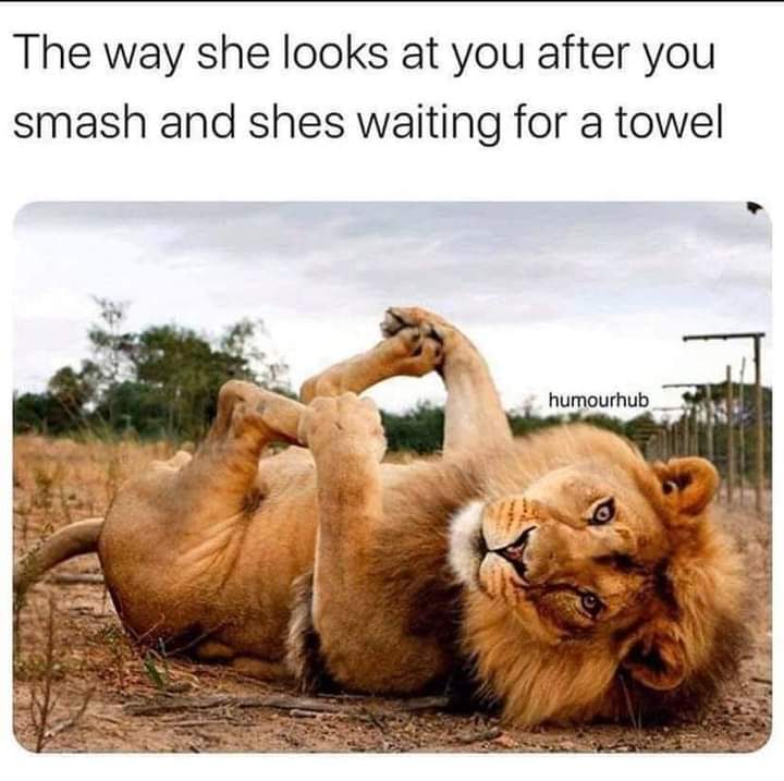 MoneeShine's tweet photo. It's the other way around for me🤣🤣 https://t.co/hXvgi36OzD