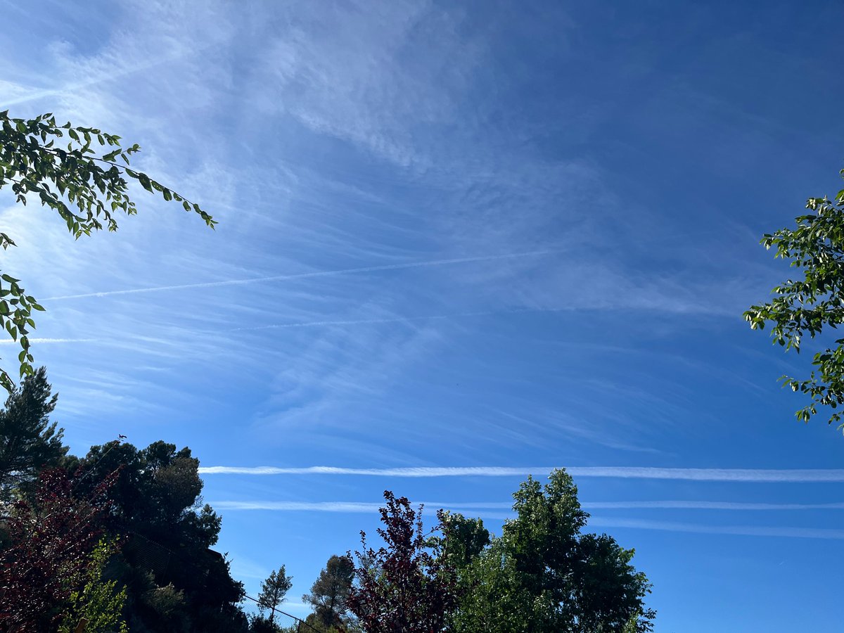 I hate them 

#geoengineering #climatescam #chemtrails