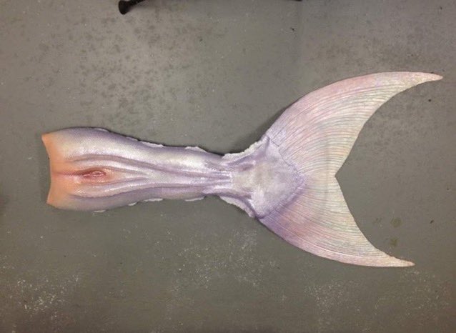 JasyDelRey's tweet photo. alistándome para ir a rescatar a los sugar daddies del submarino https://t.co/KeeXJ71Syd
