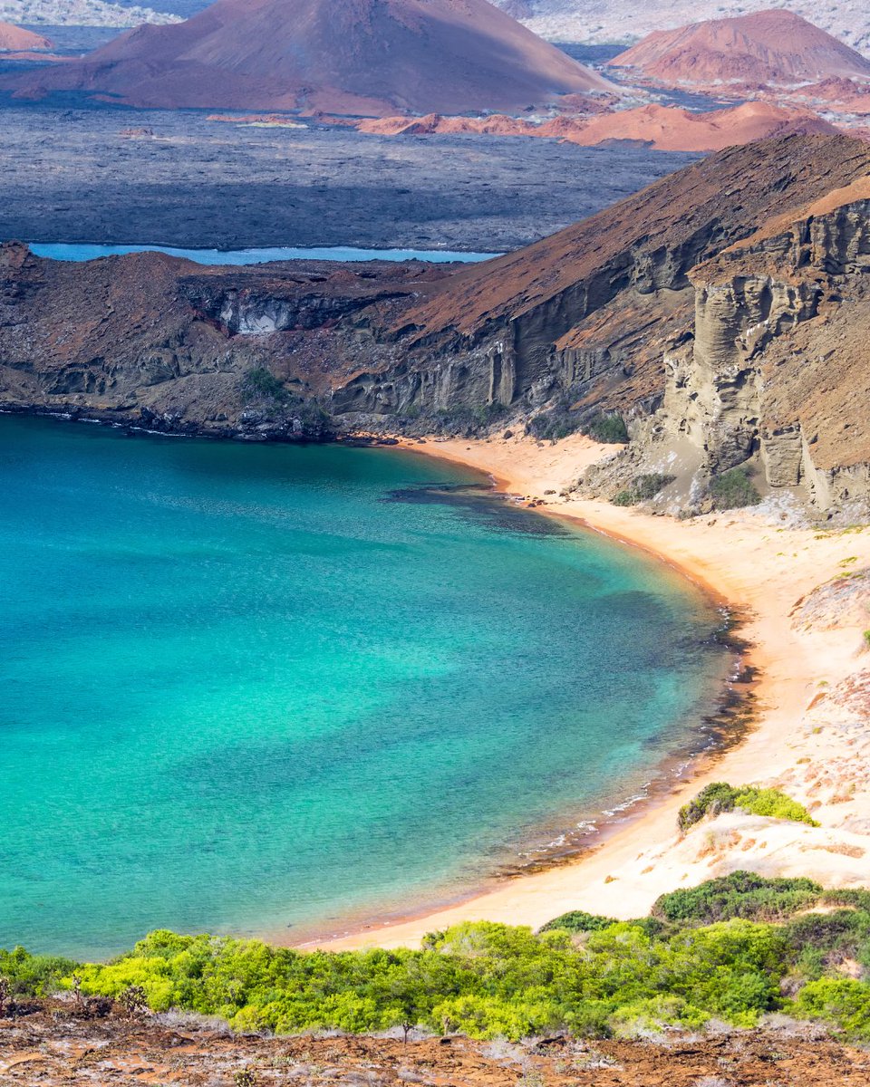 geoex's tweet photo. It's finally summer - time to start making travel plans for next year. Here are our picks: Peru, Namibia, Galapagos, &amp; Iceland.

Let's start planning your dream vacation: https://t.co/jQMtitiWWZ

#WhereDoYouWantToGo #TravelPicks #BucketList #TravelPlans #LuxuryTravel #GeoEx https://t.co/dVQCqMw098