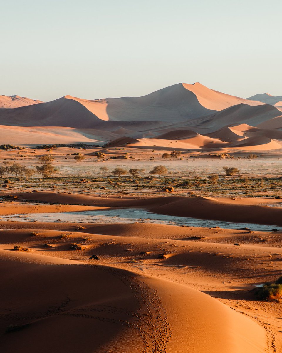 geoex's tweet photo. It's finally summer - time to start making travel plans for next year. Here are our picks: Peru, Namibia, Galapagos, &amp; Iceland.

Let's start planning your dream vacation: https://t.co/jQMtitiWWZ

#WhereDoYouWantToGo #TravelPicks #BucketList #TravelPlans #LuxuryTravel #GeoEx https://t.co/dVQCqMw098