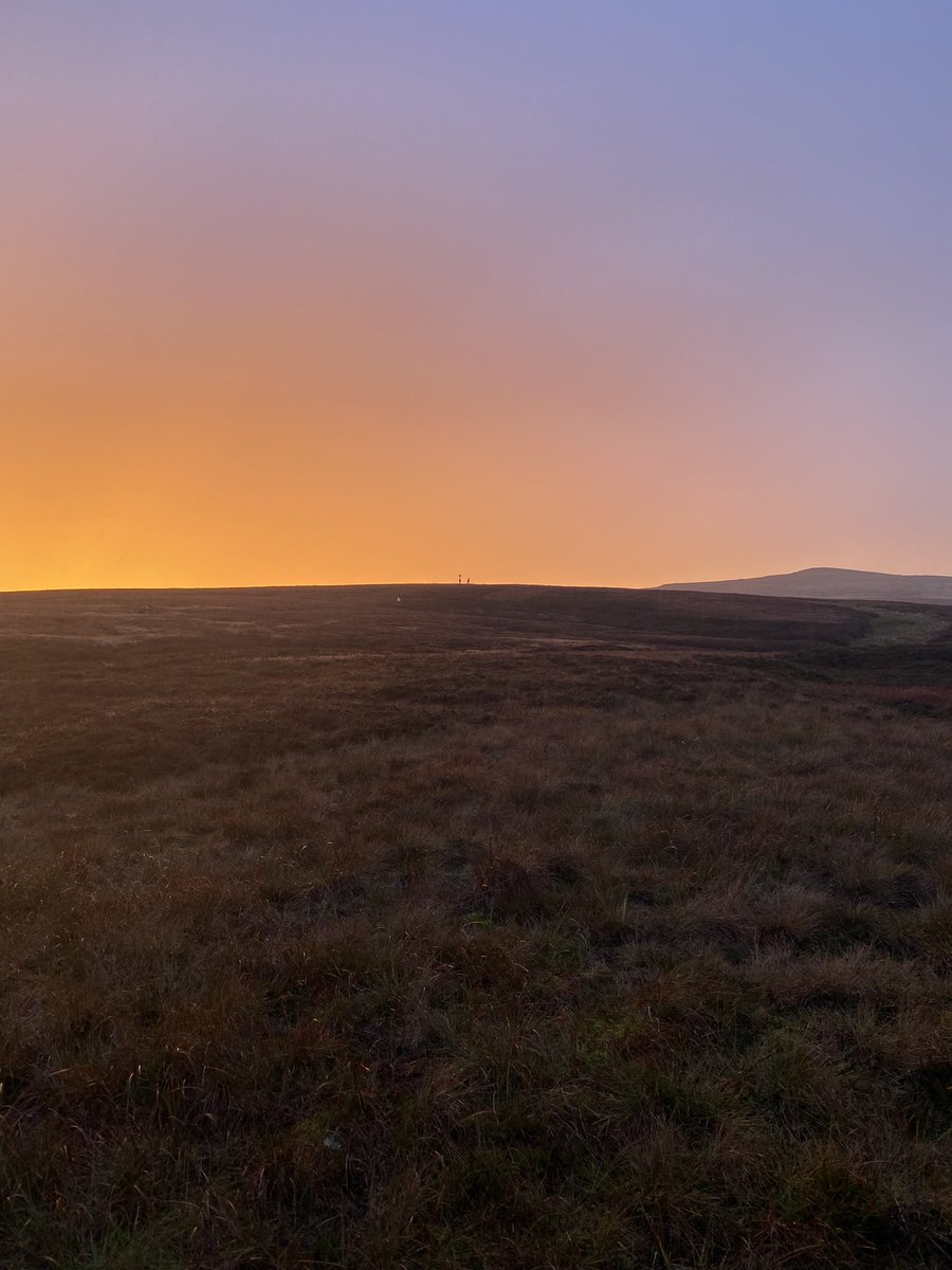 lynnslabs's tweet photo. @TheSpineRace head torch/dot watching for the last night - just seen the last few past the house .
Well done to everyone- especially the pre/post rate crew who strategically plan for the safety of the competitors as well as involving the local #gamekeepers /#farmers . #summer2023 https://t.co/DAkcVPpqXo