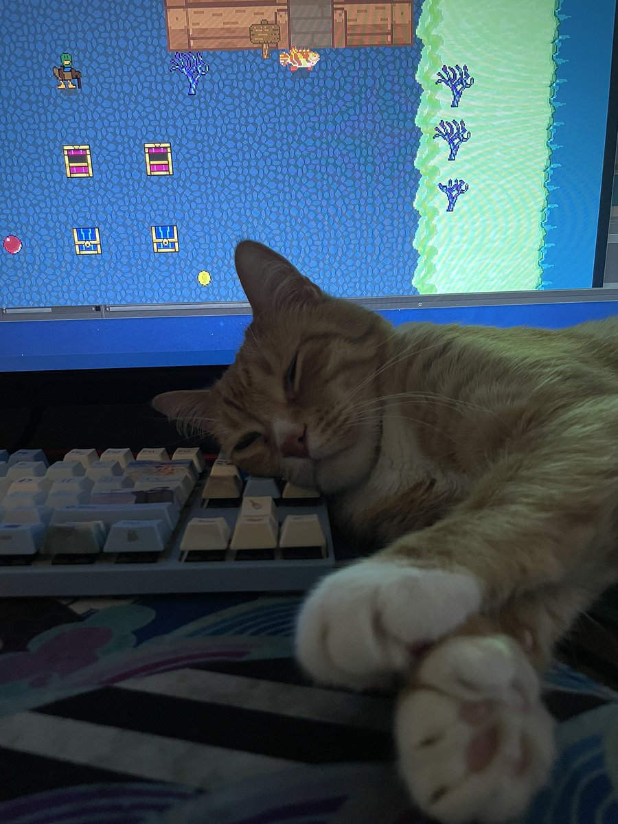 Stanley doing some testing
#cat #gamedevelopment #Videogame #videogames #deepsea #ocean #sea #indie #indiedev  #wishlistwednesday #meow #games #gamemaker