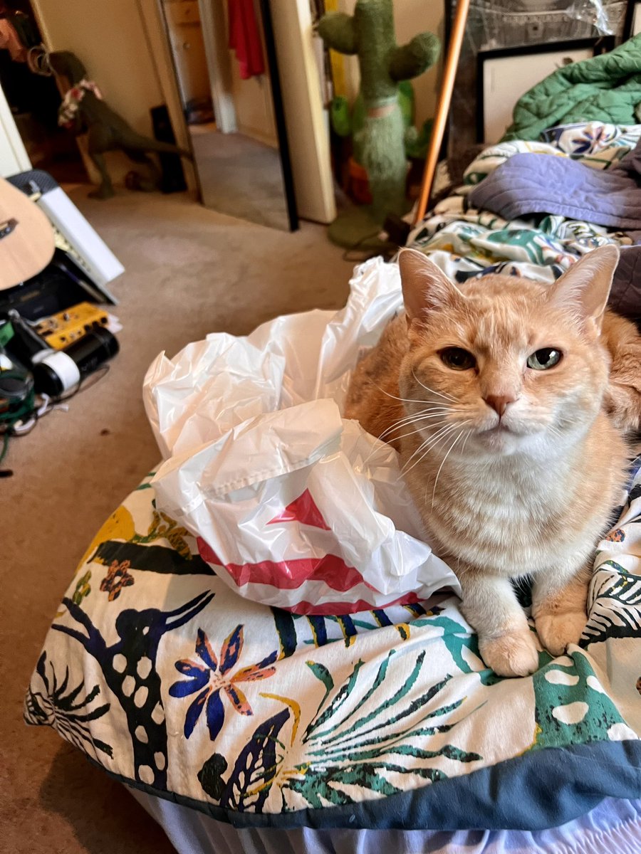 Steven Ray Morris tweet media