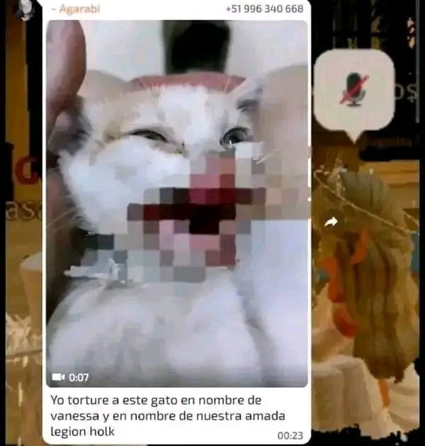 JulinNez13's tweet photo. Dicen que el número de aparece ahí sigue activo, será verdad eso?

#VanessaNEvil #VanessaN #NoAlMaltratoAnimal https://t.co/6UkLmtSVxj