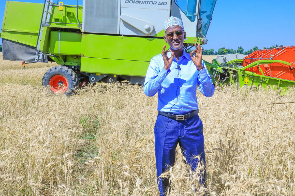 <a href="/awolarba/">Awel Arba</a> በአፍር ክልእ 🌾