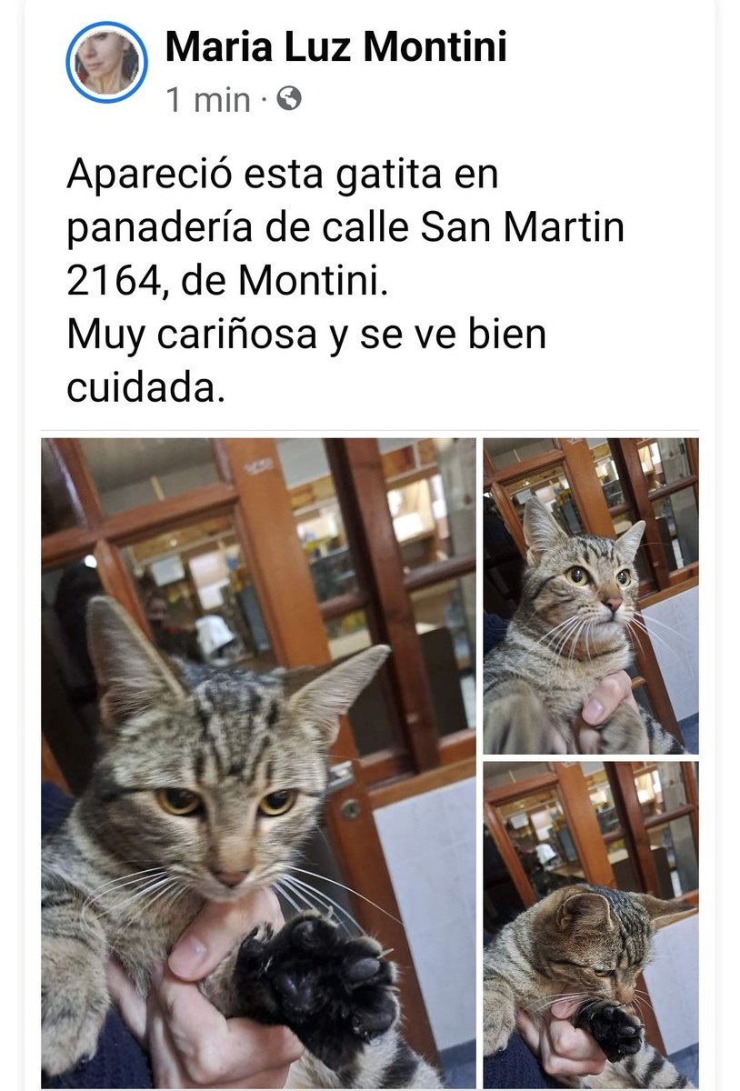 Me ayudan compartiendo?